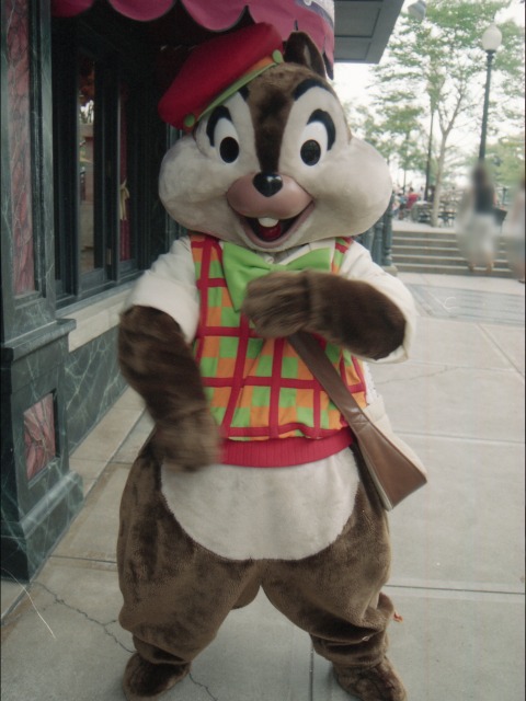 チップ（アメリカンウォーターフロント）