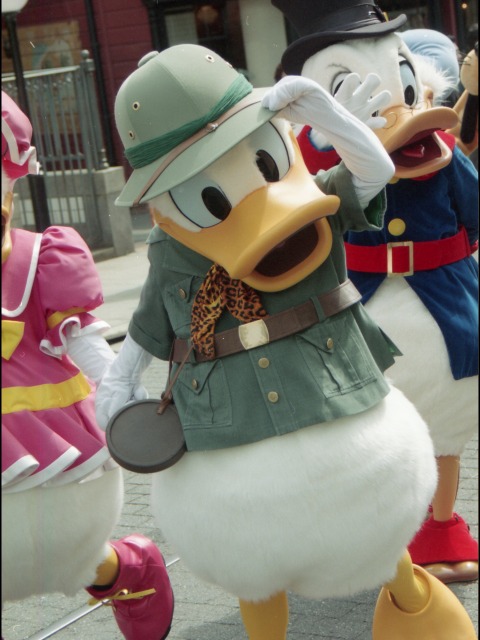 ドナルドダックの入場（ミニーのウィッシング・リング）