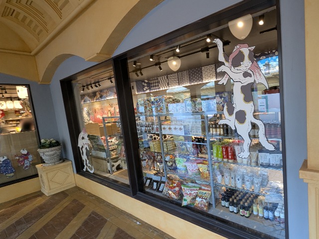 ショッピングウィンドウに猫（TOBI・BITO SOUVENIR TOKYO）