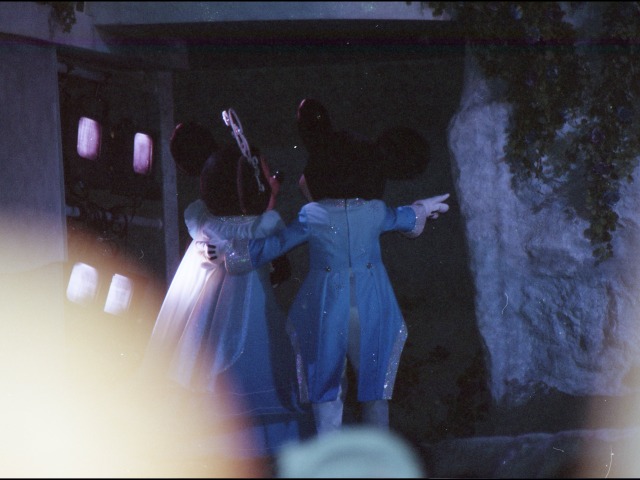 ミニーとミッキー（ウィッシュ）