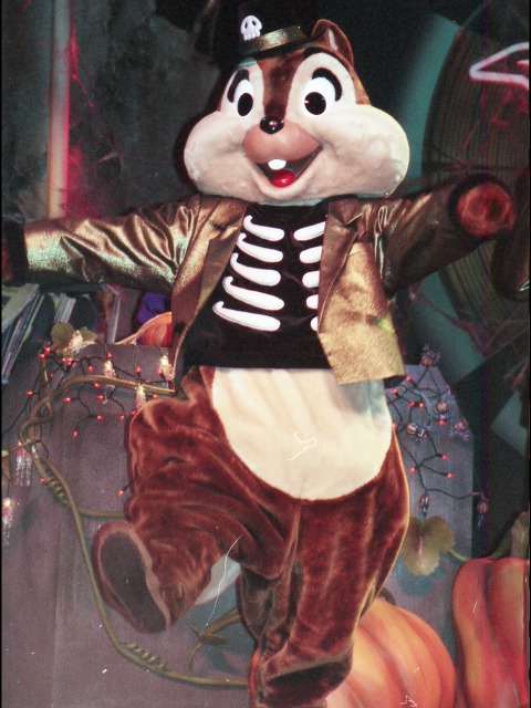 チップボーン（ゴーストラジオ・ライブ！）