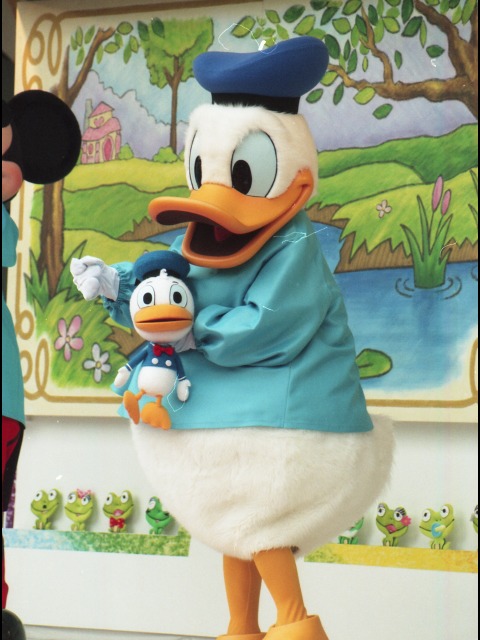 ドナルドダック（スーパードゥーパー・ジャンピンタイム）