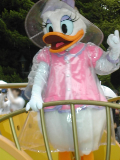 デイジーダック（レイニーデイ・ファン）