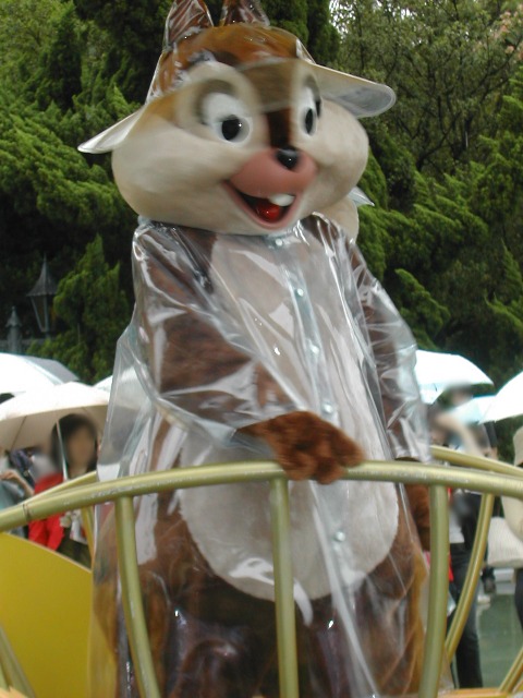 チップ（レイニーデイ・ファン）