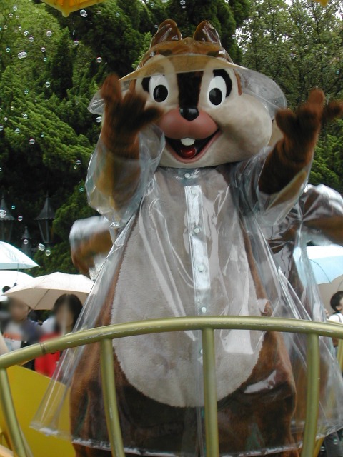 チップ（レイニーデイ・ファン）