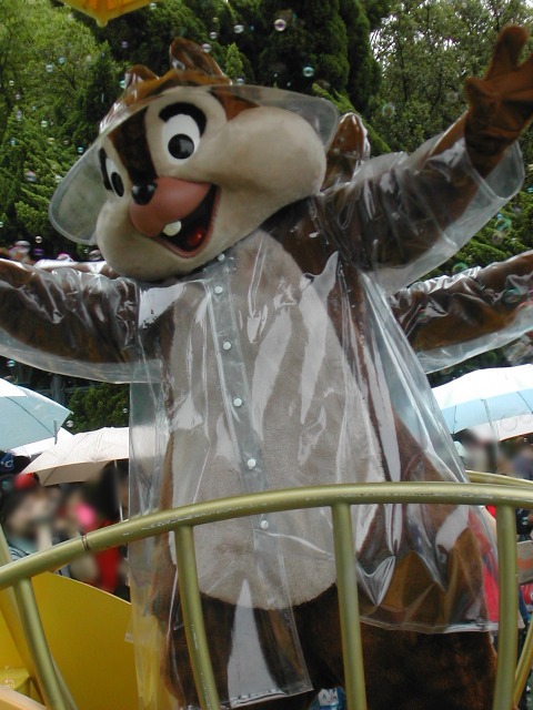 チップ（レイニーデイ・ファン）