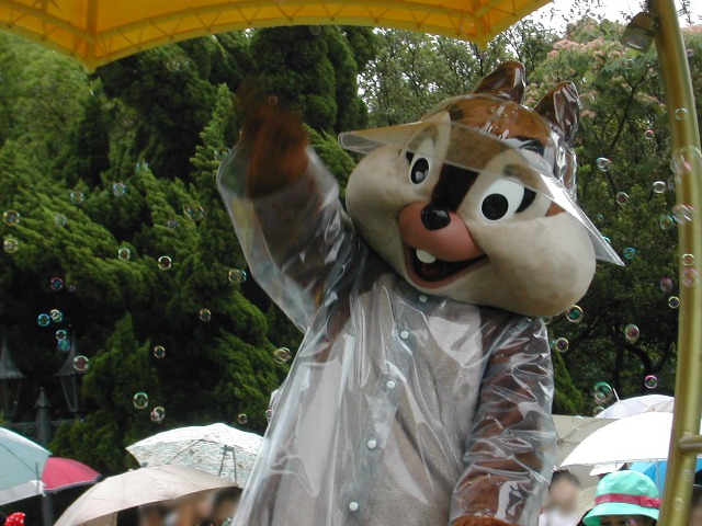 チップ（レイニーデイ・ファン）