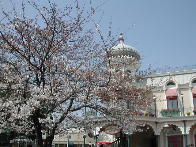 桜(ディズニーランド プラザ)