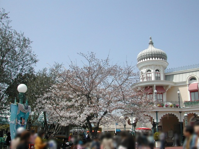 桜（ディズニーランド プラザ）