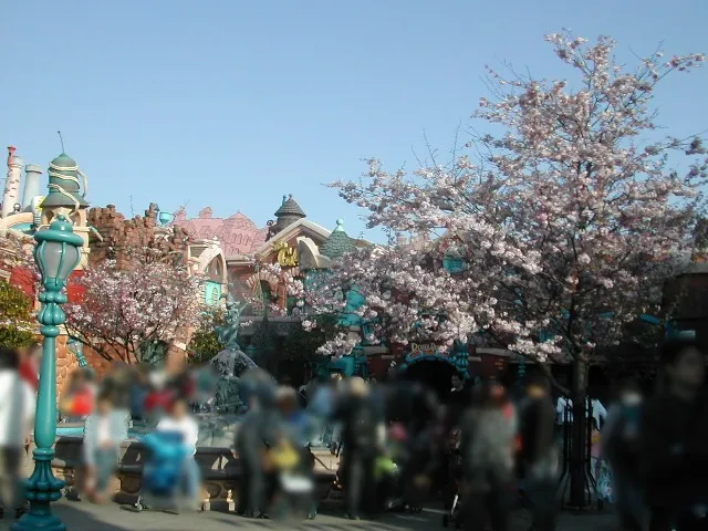 桜（トゥーンタウン）