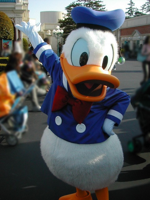 ドナルドダック(エントランス)