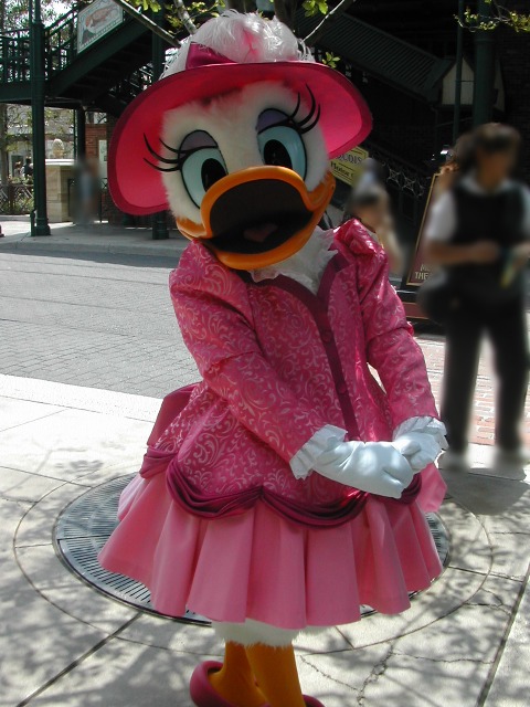 デイジーダック(アメリカンウォーターフロント)