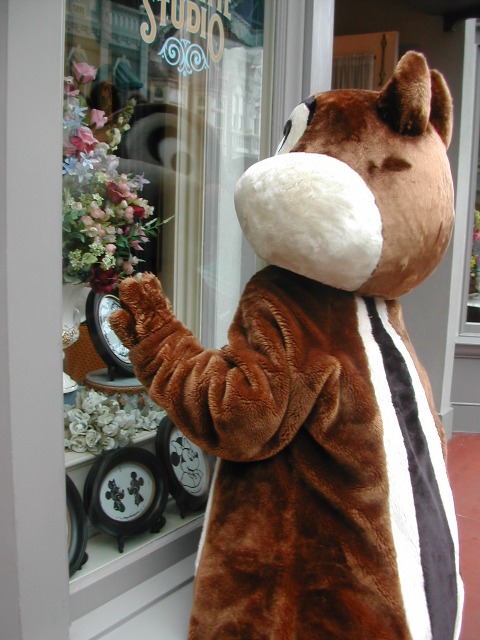 チップ(ワールドバザール)