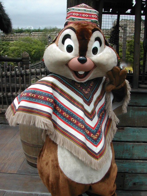 チップ(ロストリバーデルタ)