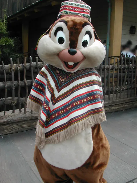 チップ(ロストリバーデルタ)