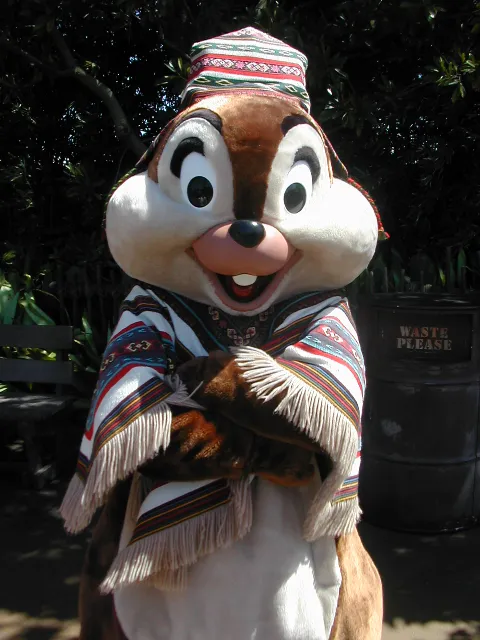 チップ(ロストリバーデルタ)